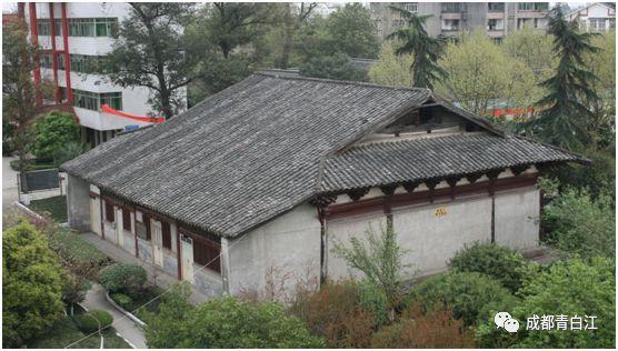 小太阳鹦鹉在哪买合法?-最好的知识问答网页